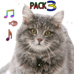 Cat Ringtones Vol3 icon