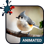 Birdy Animated Keyboard + Live Wallpaper icon