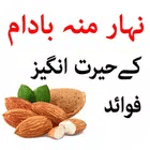 Badam k Faide icon