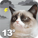 Grumpy Cat Weather icon