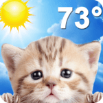 Weather Kitty - Forecast, Radar & Cat Pictures icon