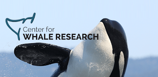 Center for Whale Research pc screenshot Center for Whale Research pc screenshot