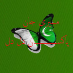 Meri Jan Pakistan Dil Dil icon