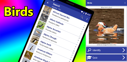 Bird Identifier pc screenshot