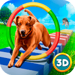 Pet Dog Training Paw Run icon