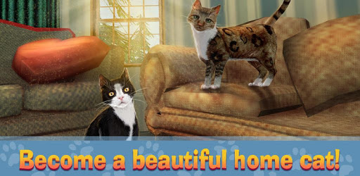 Home Cat Survival Simulator 3D - 2 pc screenshot