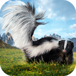 Skunk Simulator 3D icon