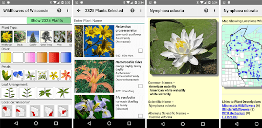 Wisconsin Wildflowers pc screenshot Wisconsin Wildflowers pc screenshot