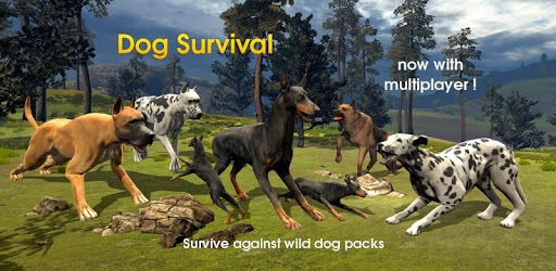 Dog Survival Simulator pc screenshot Dog Survival Simulator pc screenshot