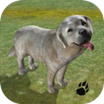 Sheepdog Simulator for pc icon