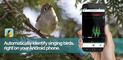 Song Sleuth: Auto Bird Song ID w/ David Sibley pc screenshot