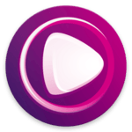 Wiseplay icon