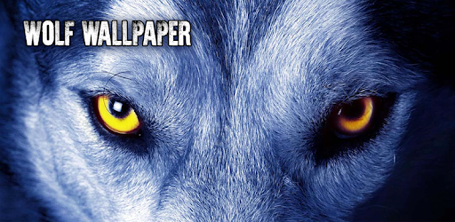 Wolf Wallpaper pc screenshot