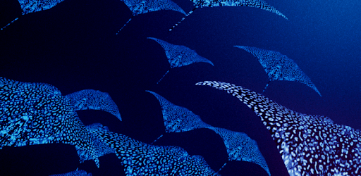 Mantaray Live Wallpaper pc screenshot Mantaray Live Wallpaper pc screenshot
