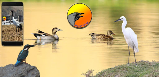 Bhutan eBirds pc screenshot