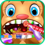 Celebrity Dentist Pet Surgery icon