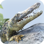 Alligator Simulator: Free Game icon