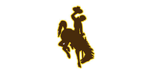 WYO Cowboys & Cowgirls Gameday pc screenshot WYO Cowboys & Cowgirls Gameday pc screenshot