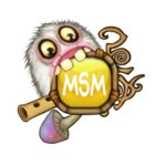 Guide for MSM icon