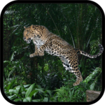 Wild Leopard Simulator 3D for pc icon Wild Leopard Simulator 3D for pc icon