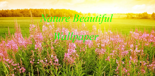 Nature HD Wallpaper pc screenshot