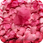 Flower Petals 3D Wallpaper HD icon