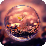 Eye of Life Live Wallpaper icon