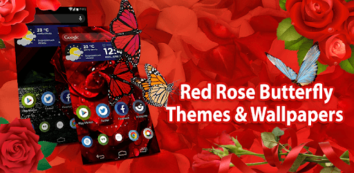 Red Rose Butterfly flowers themes and wallpaper pc screenshot Red Rose Butterfly flowers themes and wallpaper pc screenshot