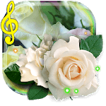 Rose White live wallpaper icon
