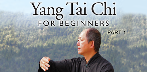 Yang Tai Chi for Beginners 1 pc screenshot