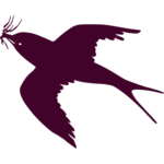 Swifts Attract Sound Wave Free icon