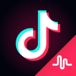 TikTok icon