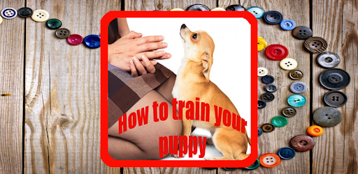 Training a Puppy pc screenshot