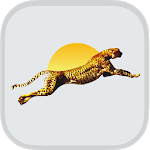 The Speed Coaching New App icon