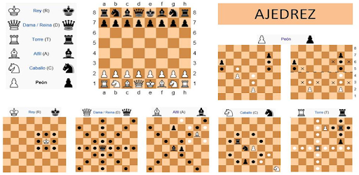 Chess Course pc screenshot