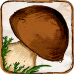 The Mushroom Book icon