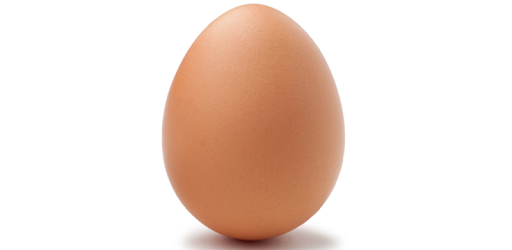Egg Chef free pc screenshot Egg Chef free pc screenshot
