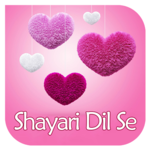 Shayari Dil Se icon