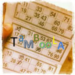 Tambola Number  caller application icon