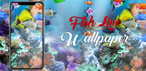 Fish Live Wallpaper Machhali Live Wallpaper pc screenshot Fish Live Wallpaper Machhali Live Wallpaper pc screenshot
