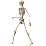 Skeleton Ragdoll, Walking dead icon