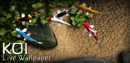 Koi Free Live Wallpaper pc screenshot