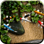 Koi Free Live Wallpaper icon