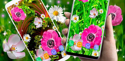 3D Flowers Parallax Live Wallpapers pc screenshot 3D Flowers Parallax Live Wallpapers pc screenshot