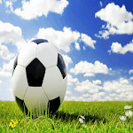 basic soccer training icon