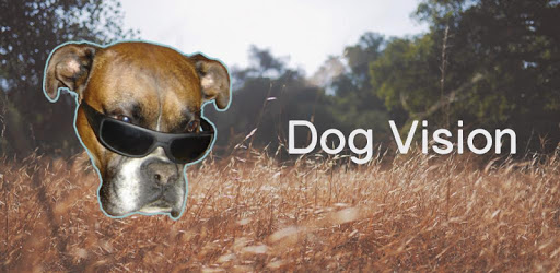 Dog vision pc screenshot