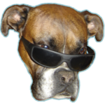 Dog vision for pc icon
