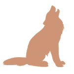 Wolf VPN - Free VPN Proxy & Wi-Fi Security icon