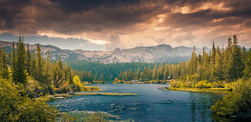 Nature Pictures HD Wallpapers pc screenshot Nature Pictures HD Wallpapers pc screenshot