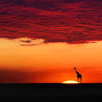 Nature Pictures HD Wallpapers icon